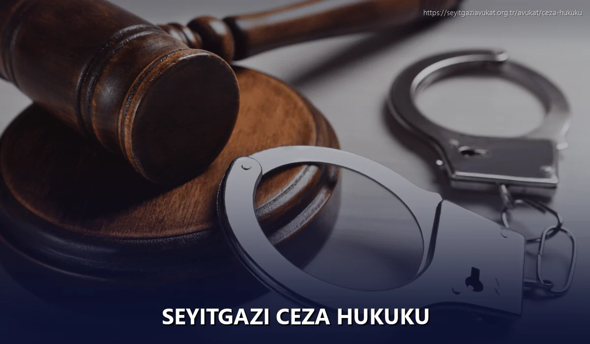 Seyitgazi Ceza Hukuku